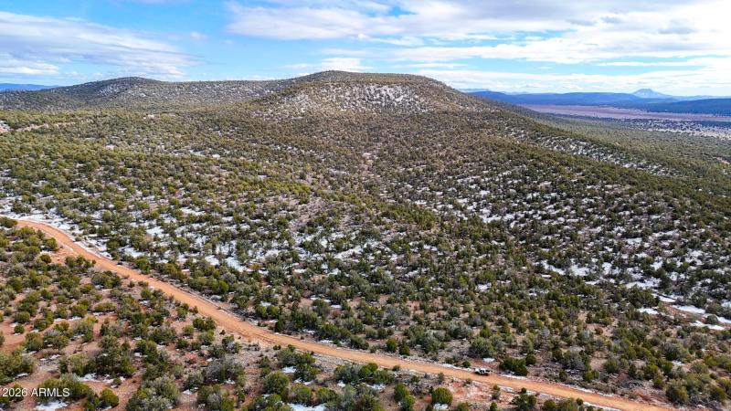 dji_fly_20260219_154142_0381_17715902914