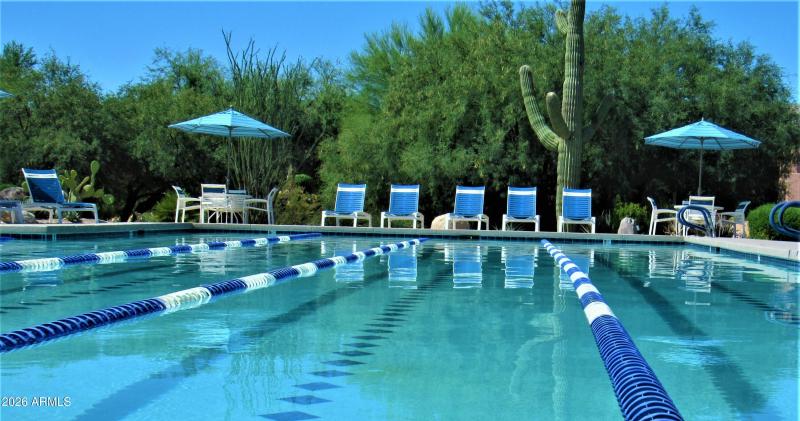 8.12.19 Pool.2 (003)