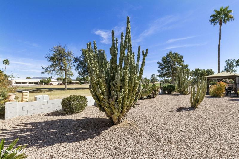 19-web-or-mls-DLB_8033