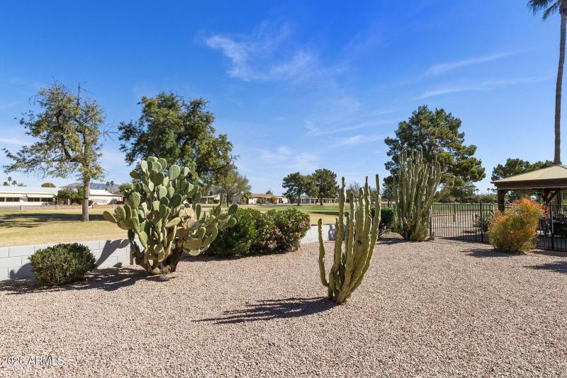 29-web-or-mls-DLB_8022