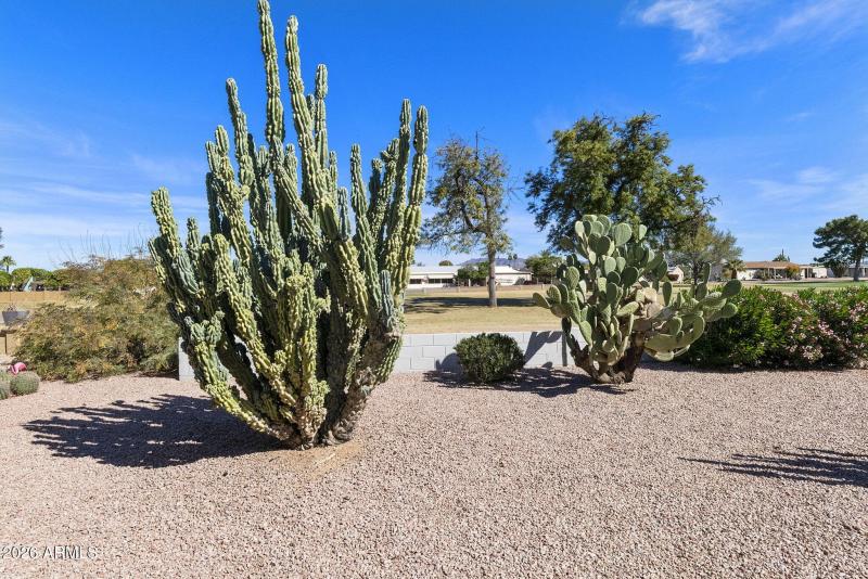 31-web-or-mls-DLB_8021