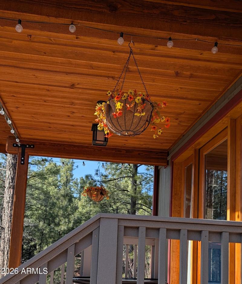 PXL_20260224_230022287 (002)