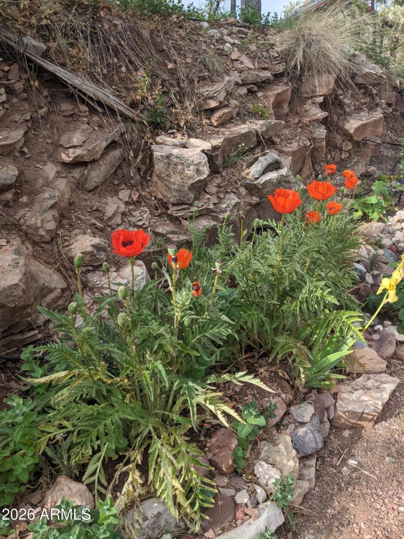 PXL_20210604_144741836