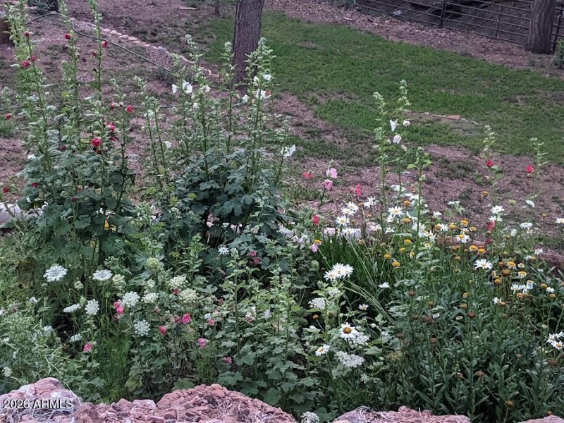 PXL_20210728_023344575