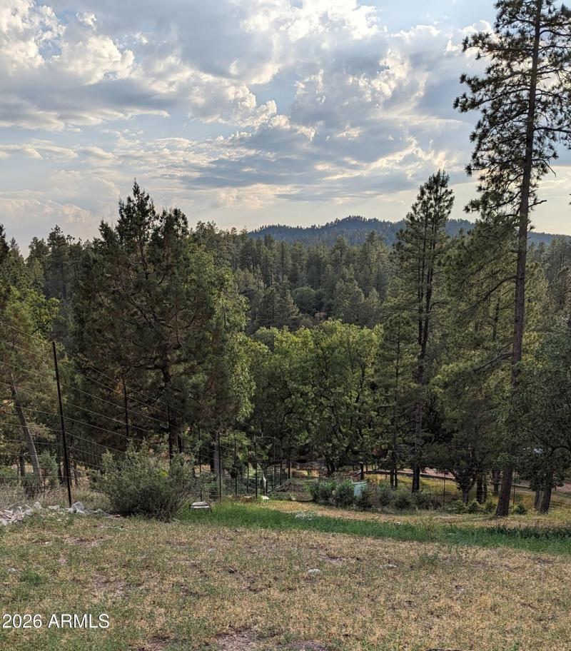 PXL_20230627_011448144~2