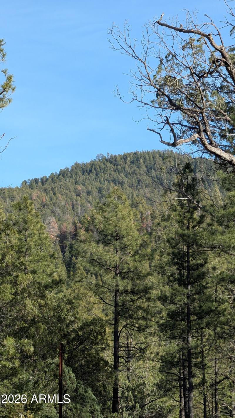 PXL_20260224_231137550