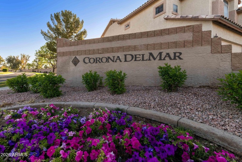 30-web-or-mls-PAT_5446