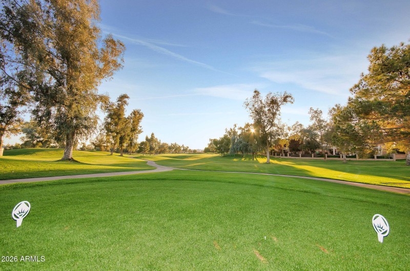 46-web-or-mls-DSC_6312