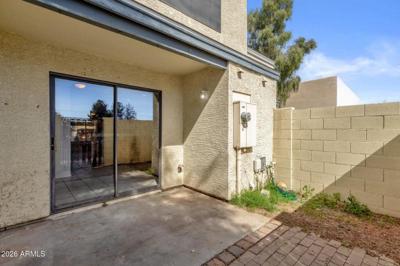 South Facing Back Area