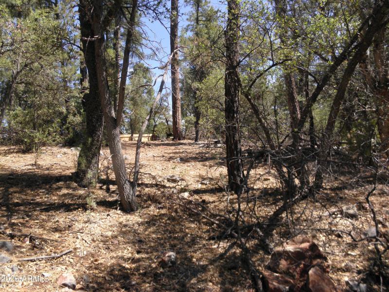 P6100044 - Copy - Copy