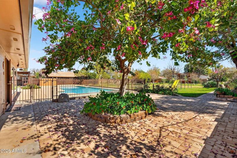 45-web-or-mls-37N Delmar