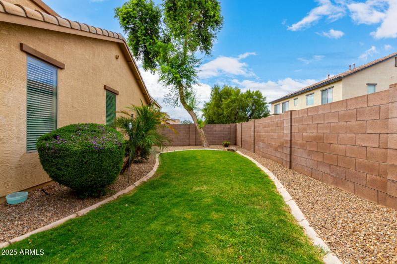 spacious and lush yard