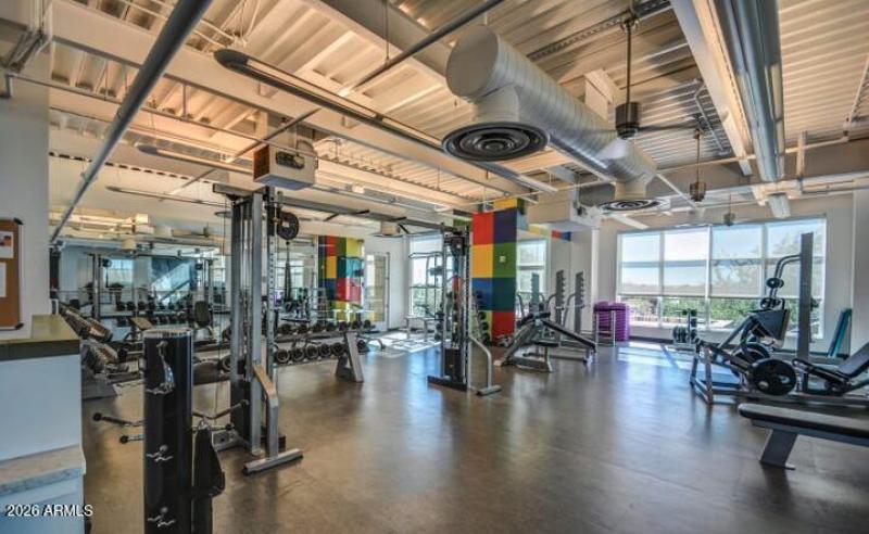 Screenshot 2026-03-03 at 3.39.46PM