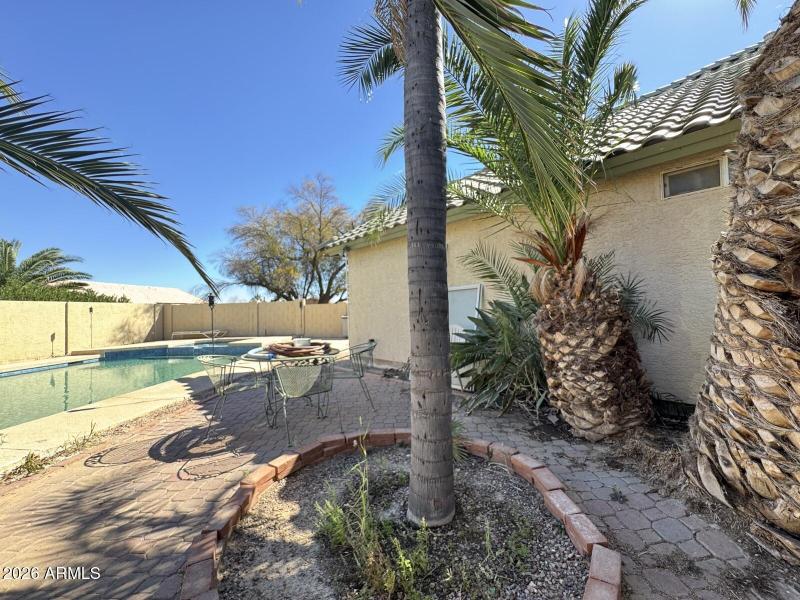 Patio and pool