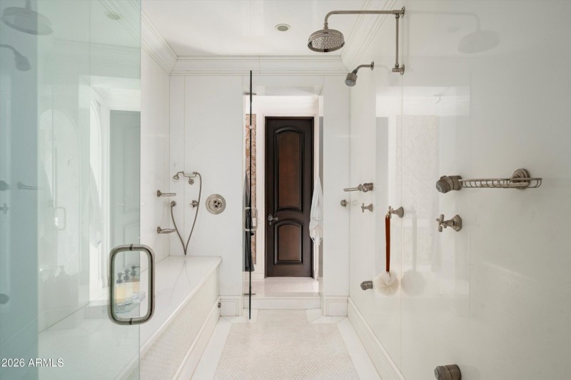 Primary steam shower