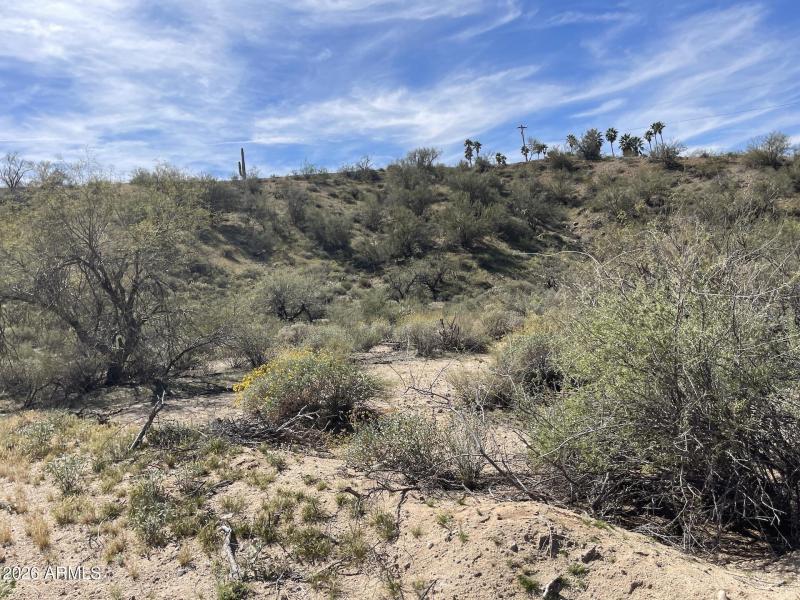 276thLots3-4southside2