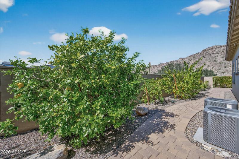 58_21291_W_Meadowbrook_Ave58_mls