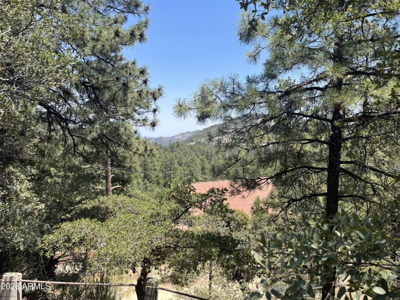 Views from the patio