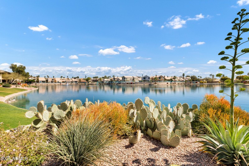 16013 S Desert Foothills Pkwy #1113-24