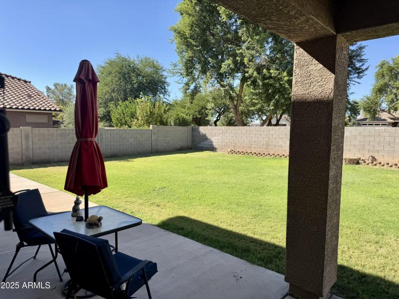 patio/back yard