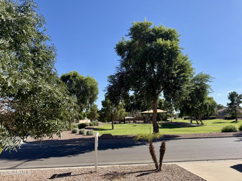 park accross the street