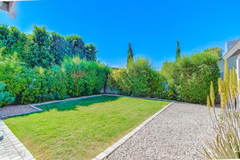 Lots of Room for Play