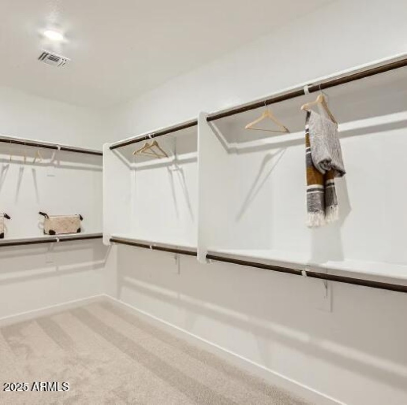 Owners Walk in Closet