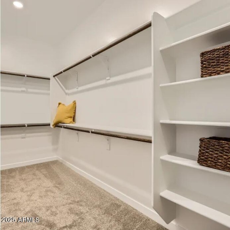 Owner's Walk in Closet
