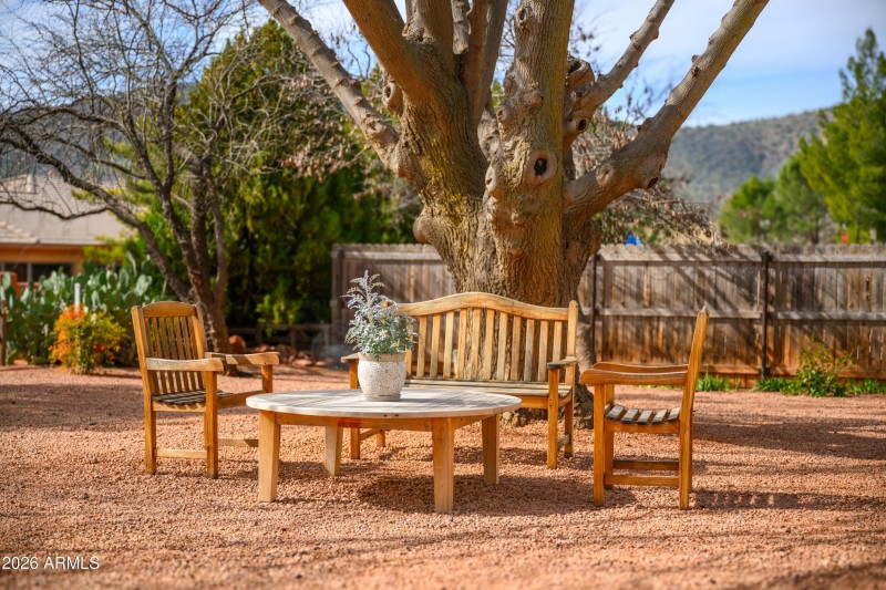 Spacious backyard with mature trees