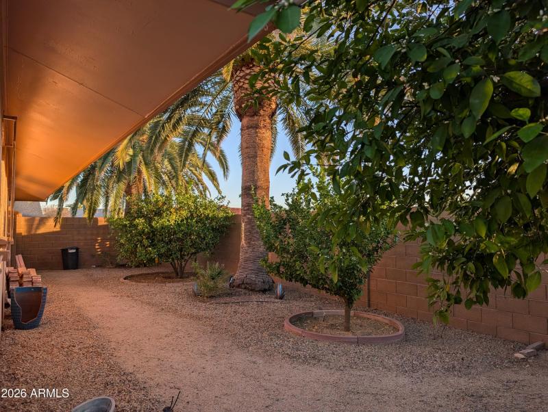 PXL_20260304_005344718