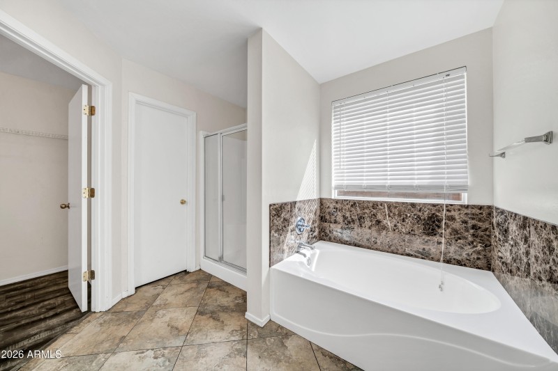 Downstairs Primary Bath 2