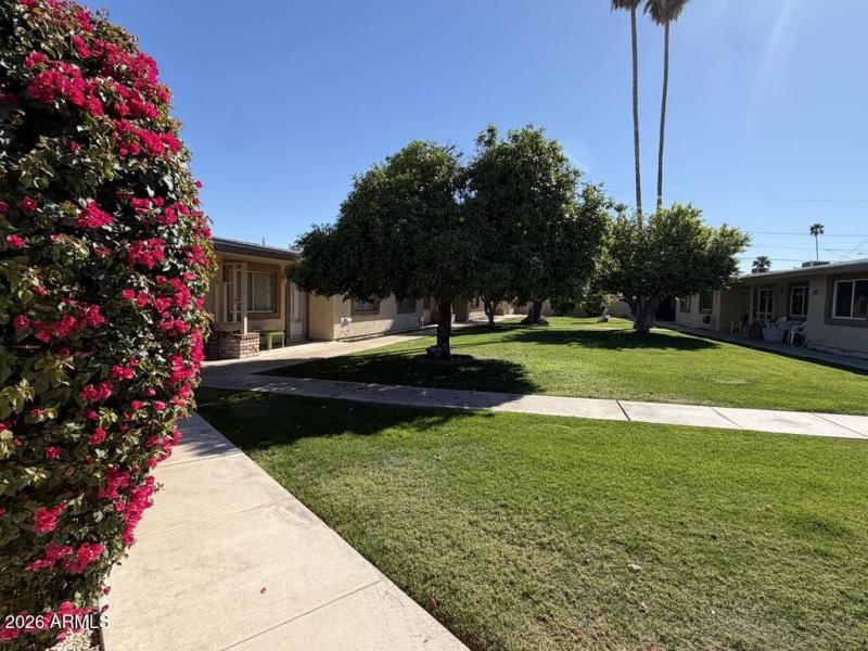 D1A098F7-2038-4A55-9B09-D3711BE2BAAC_1_1