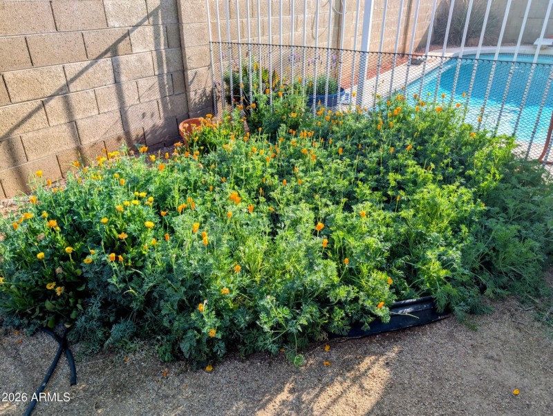 538824f8-d7b0-4fd7-a7f3-a6532e2de0d6~1