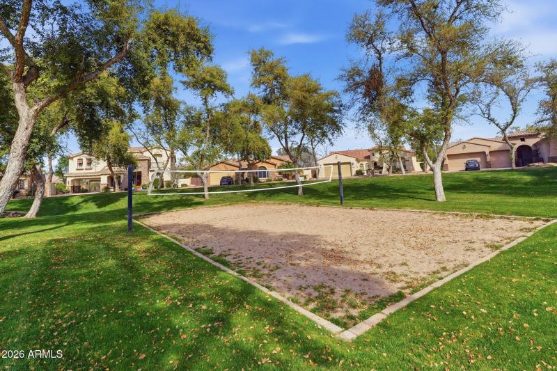 Community Volleyball