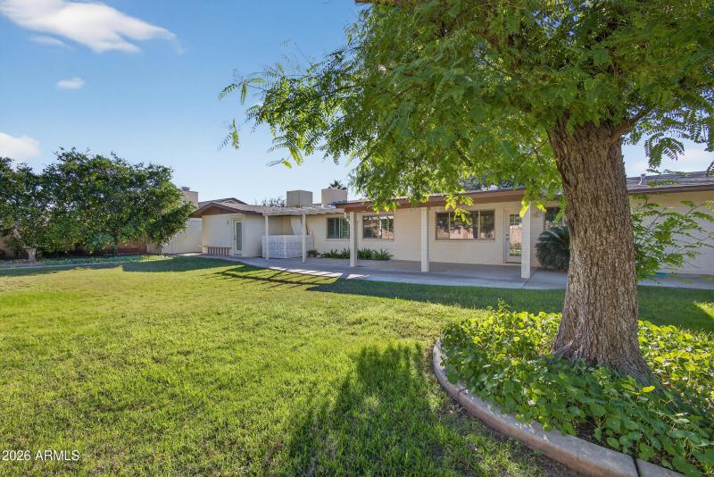 Lush Green Landscaping