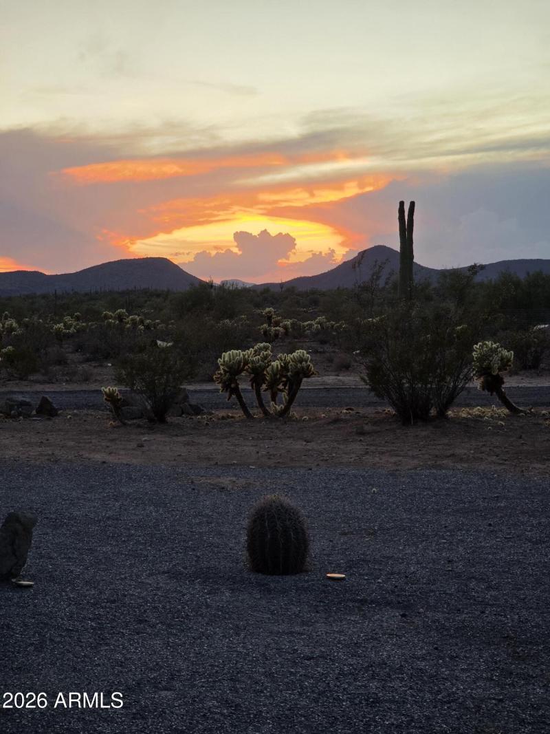 -1734199959545872308