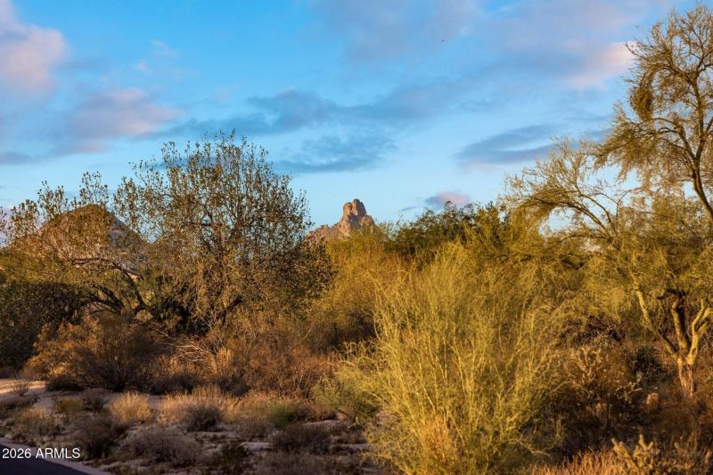 008_Pinnacle Peak View