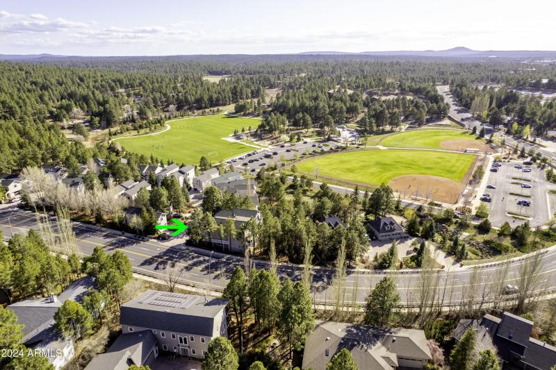 Savannah drone to Park