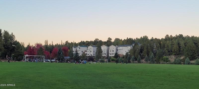 Savannah V from Park