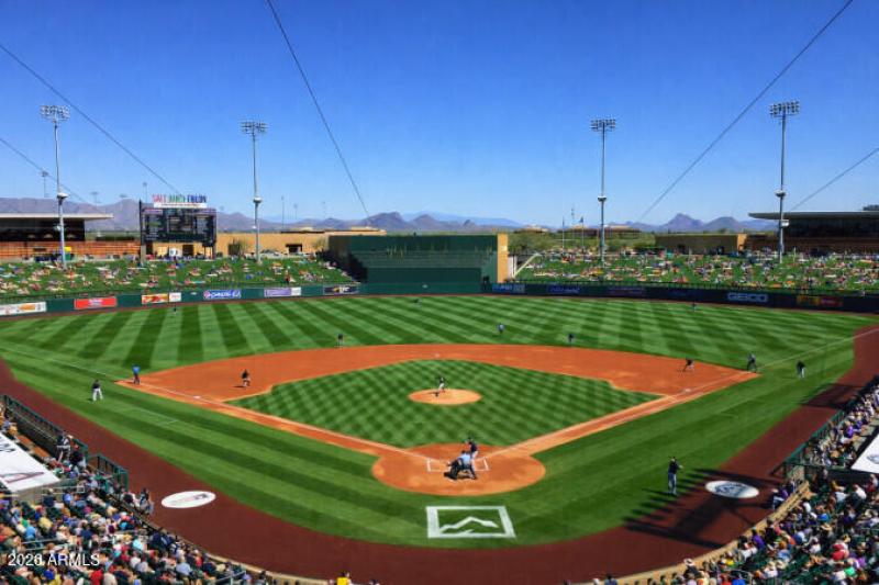 Spring Training & MLB
