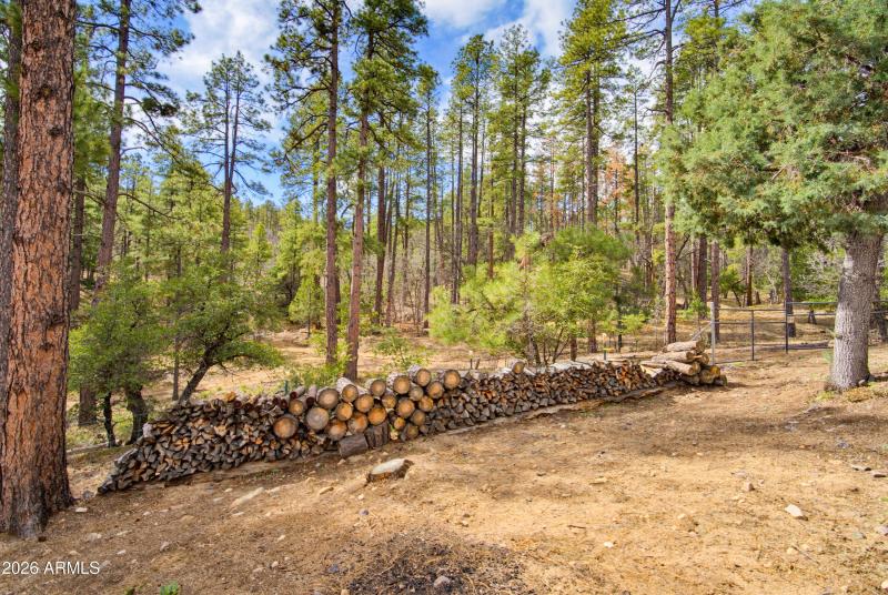 375 S Camille Lane - Photo - Exterior 40