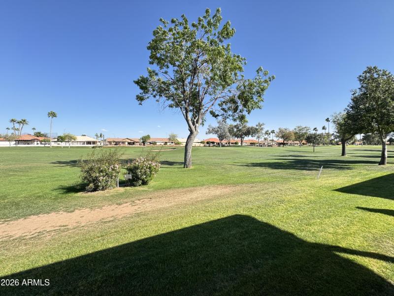 View from Back Patio