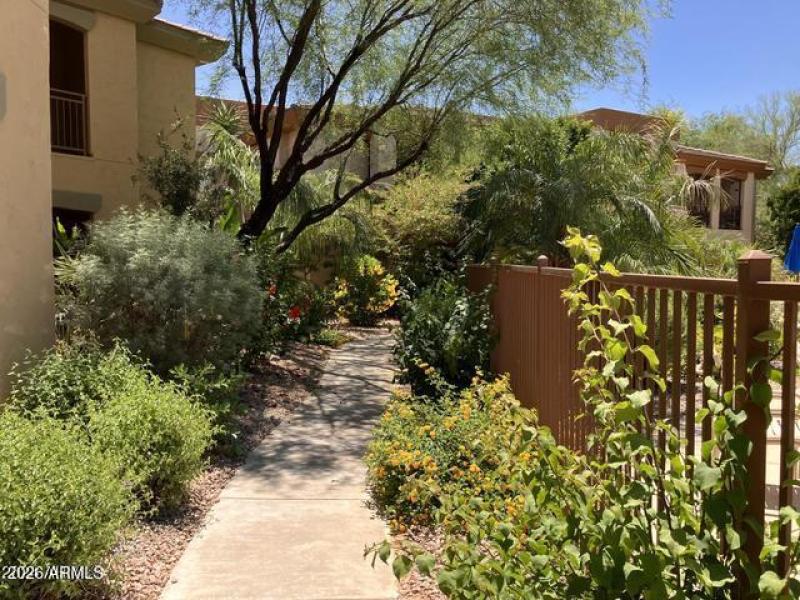 Lush greenery in the complex