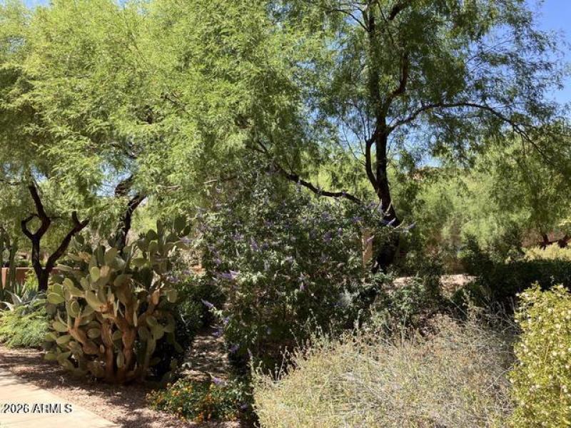 Lush vegatation in the complex