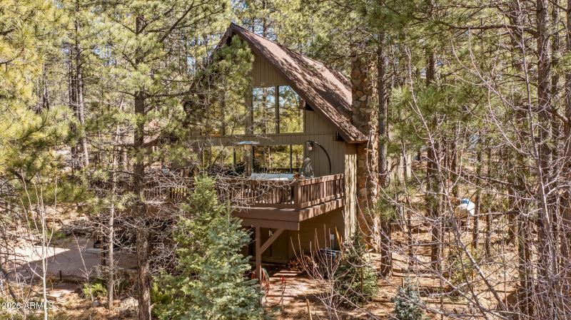 Surrounded by Towering Pines!