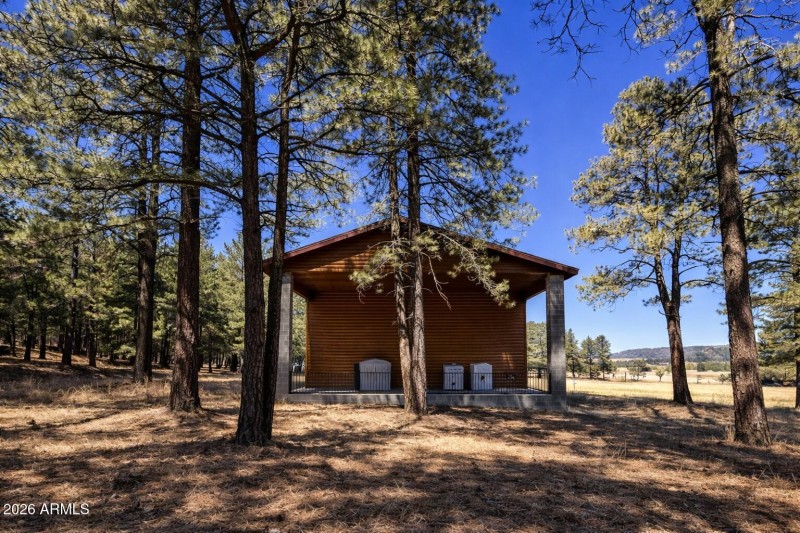 Wooden storage shed in forested landscap