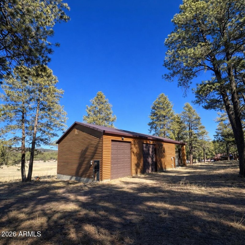 Wooden garage in the forest clearing