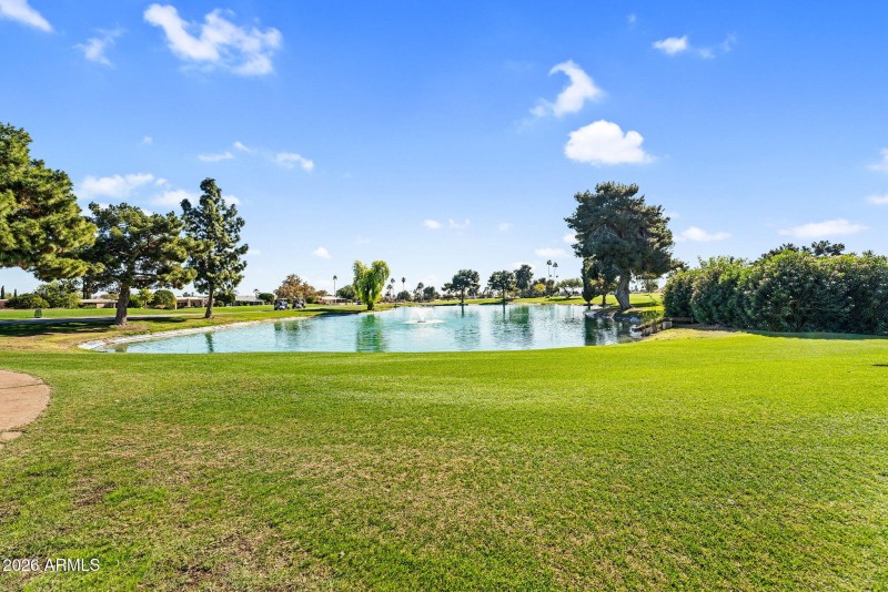 60-web-or-mls-Sun City- 014