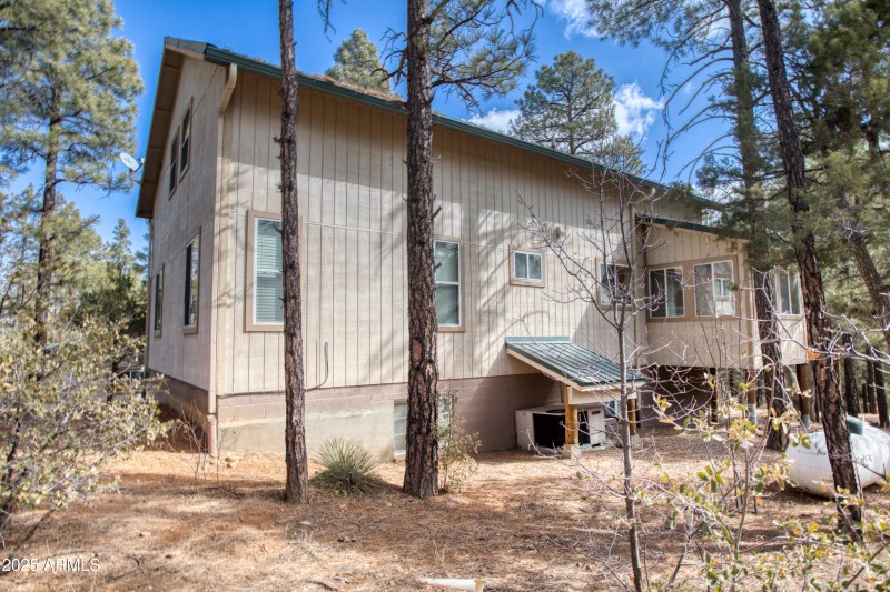 Paxmanphoto_PAX_8705