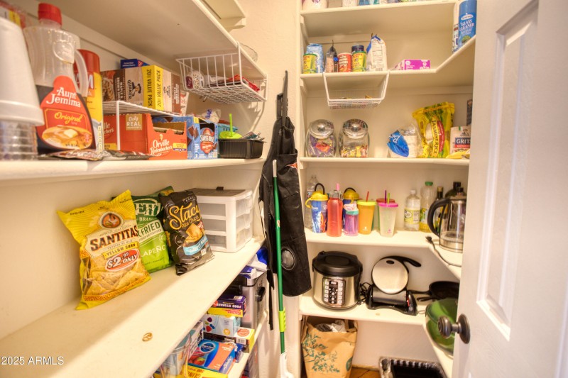 Paxmanphoto_PAX_8807